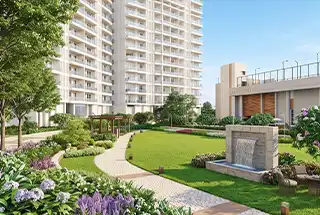 Landscaped Garden